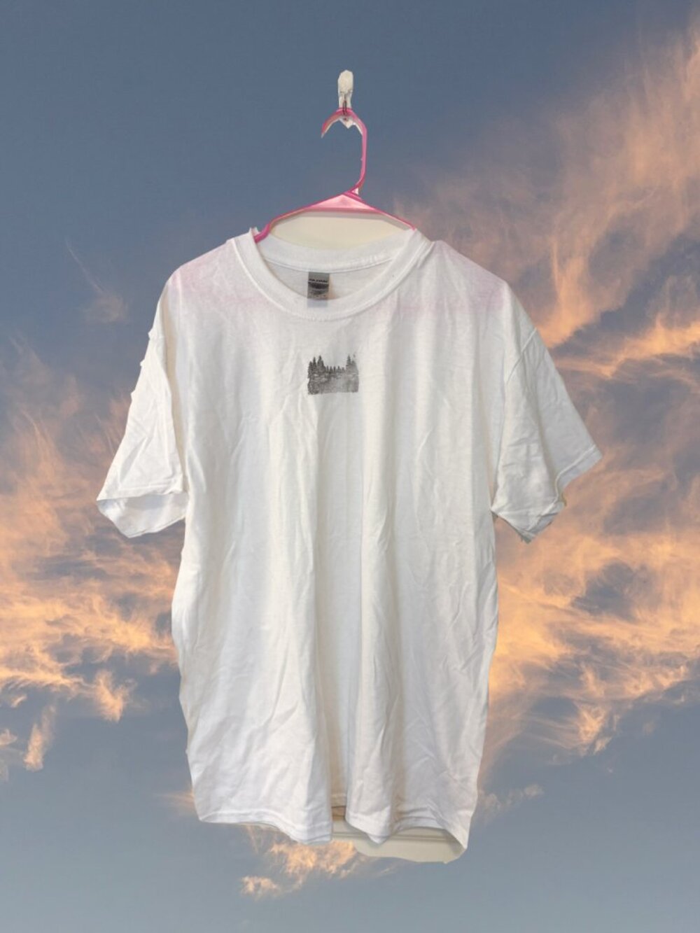 River Printed Graphic Tee Gildan Heavy Cotton